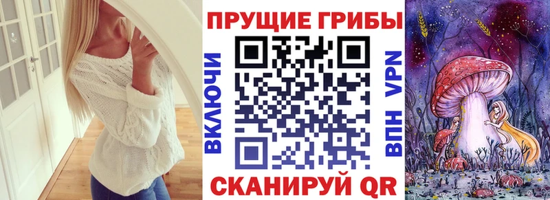 Псилоцибиновые грибы Cubensis  даркнет сайт  Пошехонье 